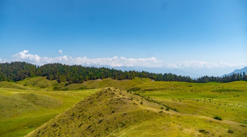 DSC09557